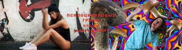 кокс Абинск